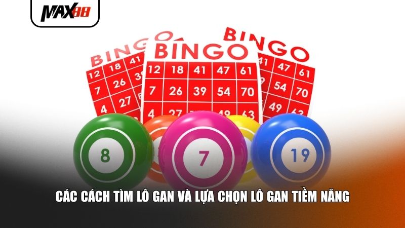 Kinh nghiệm tìm và chọn lô gan tiềm năng cho tân thủ