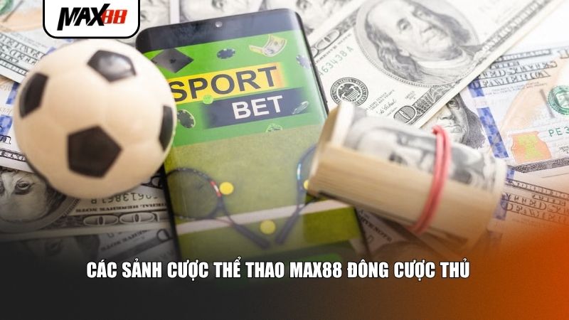 Các sảnh cược thể thao Max88 đông cược thủ